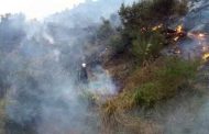 اتحادية عمال الغابات : الحرائق المتعمدة 