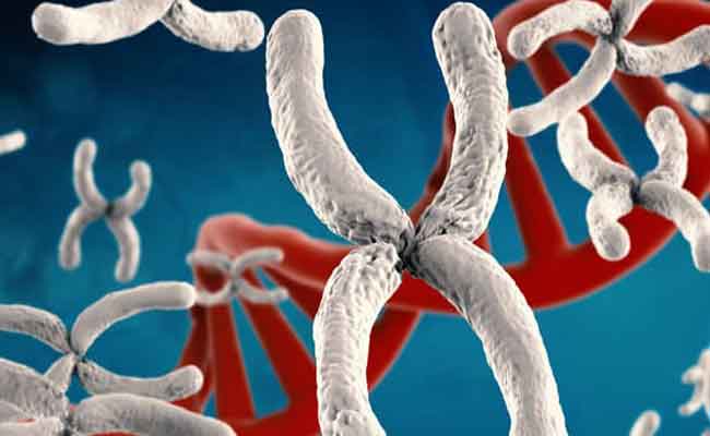 ما هي أسباب خلل الكروموسومات عند الجنين؟