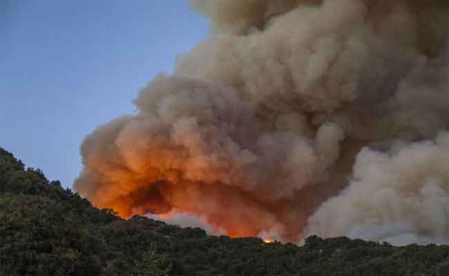 توقيف 22 شخصا مشتبه فيهم بتورطهم في حرائق الغابات