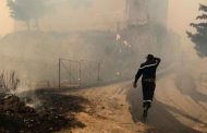 حصيلة وفيات حرائق الغابات ترتفع إلى 65 ضحية