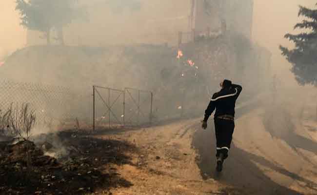 حصيلة وفيات حرائق الغابات ترتفع إلى 65 ضحية