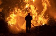 الحرائق تلتهم غابات اليونان