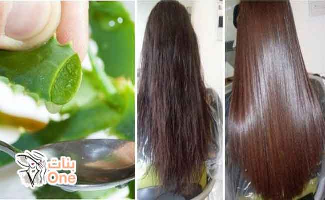 4 فوائد لاستخدام الصبار على الشعر…