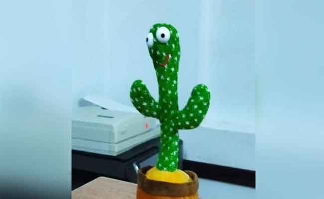 تنبّهوا من لعبة الصبارة الراقصة…تأثيراتها سلبية جداً على أطفالكم!