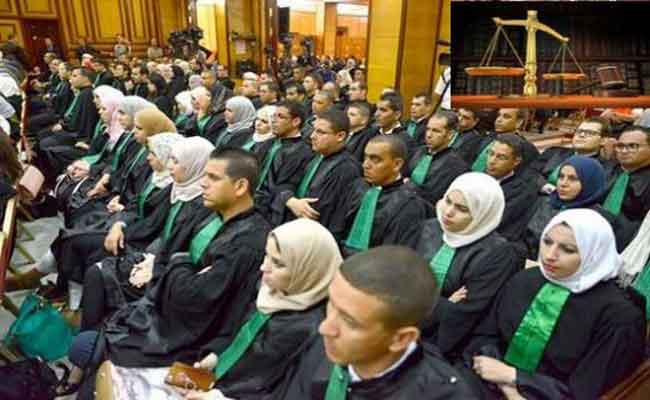 حركة جزئية في سلك القضاء