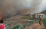 نشوب حرائق غابات ببومرداس و الحماية المدنية تؤكد السيطرة على الحرائق و تسجيل 21 حالة اختناق