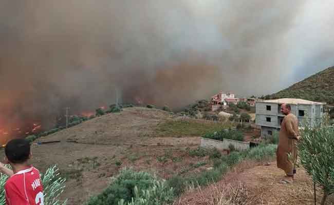 نشوب حرائق غابات ببومرداس و الحماية المدنية تؤكد السيطرة على الحرائق و تسجيل 21 حالة اختناق