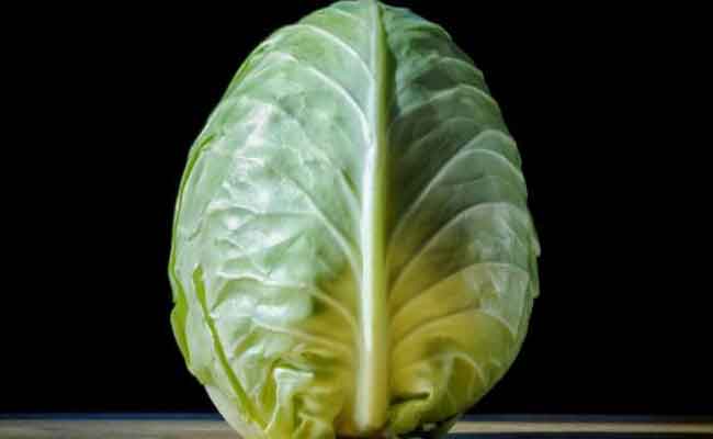 هل من الآمن أن يتناول مريض السكري الملفوف؟