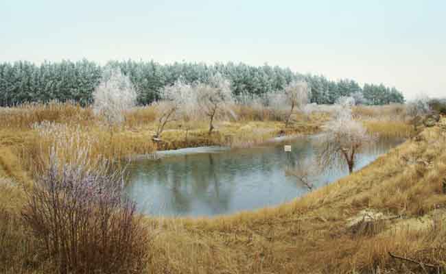 غرق ثلاث نساء و طفلة في بركة مائية بخنشلة