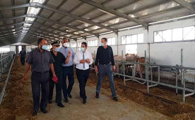 الانتهاء من تعويض مربي المواشي المتضررين من الحرائق البالغ عددهم أزيد من 1500 عبر الوطن