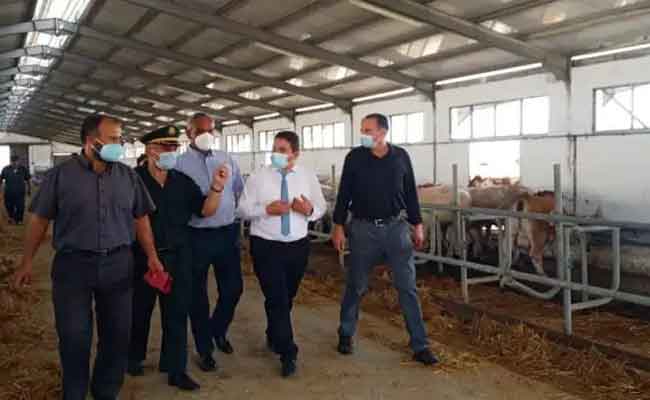 تعويض 81 فلاحا متضررا من حرائق بجاية برؤوس المواشي