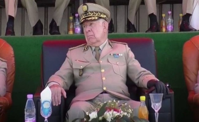 هل يصبح الجنرال شنقريحة هو سيسي الجزائر