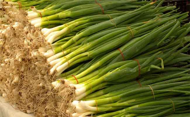 بعد التعرف على فوائده…ستضيفون البصل الأخضر يومياً الى وجباتكم الغذائية!