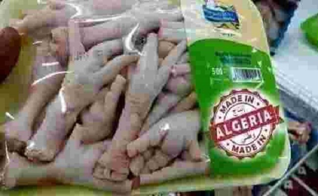 بعد الريادة في تصدير أرجل الدجاج الجزائر تتجه نحو تصدير الدرجات