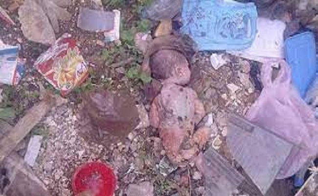 في الجزائر يوميا يتم العثور على أطفال رضع في الشوارع وتسجيل عشرات الحالات للإعتداء جنسي على الأطفال