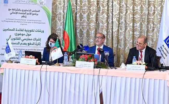 فنيش : الدفع بعدم الدستورية “آلية تضمن الحفاظ على حقوق المتقاضي المكفولة دستوريا”