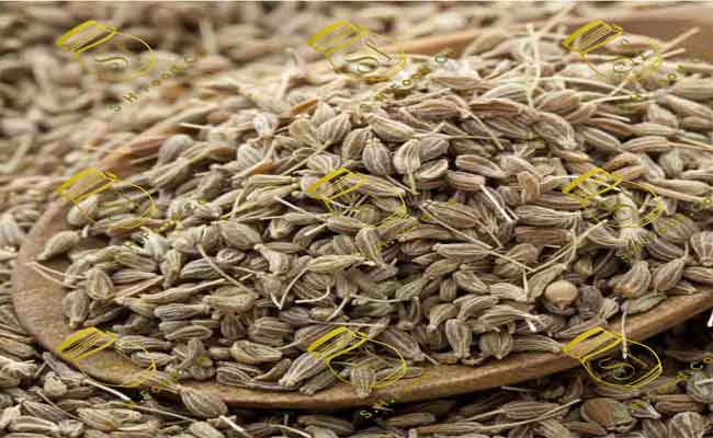 هل اليانسون مفيد لمرضى الضغط؟