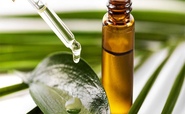 زيت شجرة الشاي يعالج الأظافر من الفطريات ويحافظ عليها