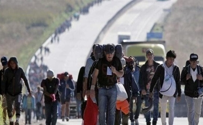 ضبط 600 مهاجر في شاحنتين بالمكسيك