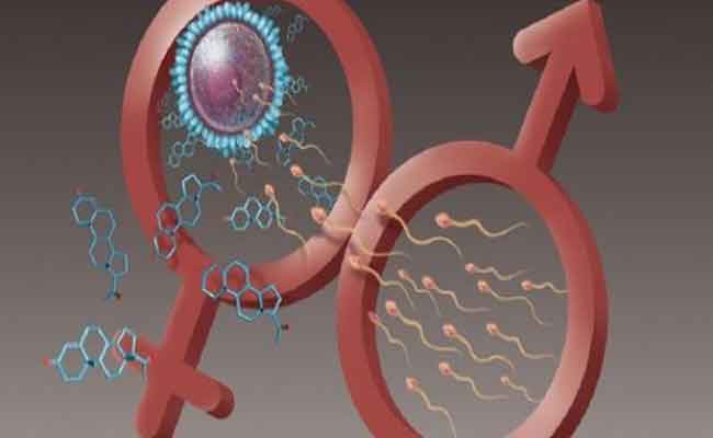 كلّ ما تريدين معرفته عن الاستروجين…الهرمون الانثوي الأكثر اهمية!