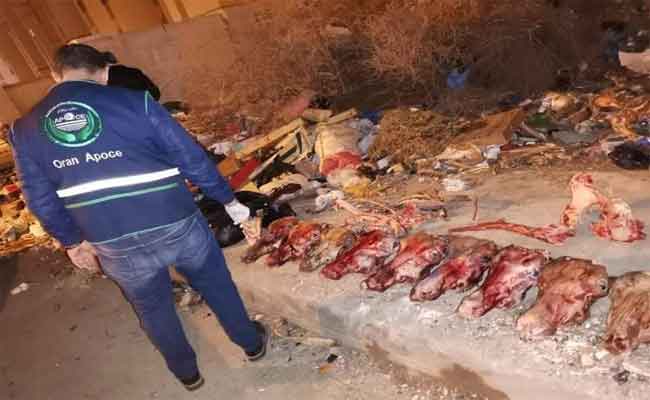 فتح تحقيقات بعد اكتشاف رؤوس و عظام الحمير بوهران