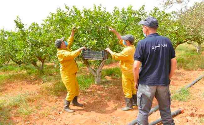 التكفل بأزيد من 6 آلاف محبوس مفرج عنهم في 2021 لإدماجهم في عالم الشغل…