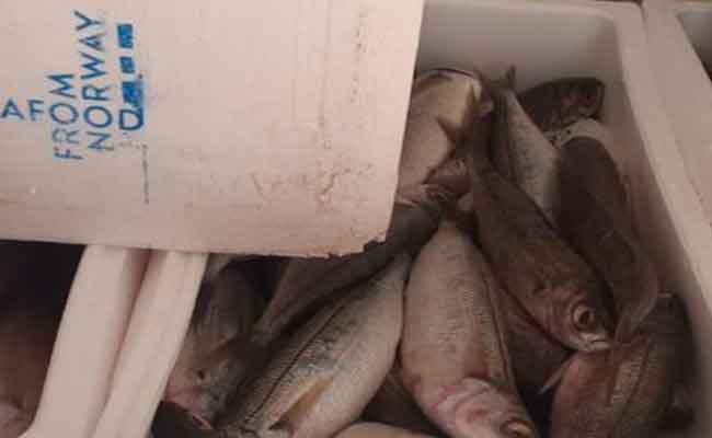 حجز 18 قنطارا من الأسماك الفاسدة بمستغانم