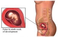 ما الذي يحدث للحامل والجنين في الأسبوع التاسع من الحمل؟