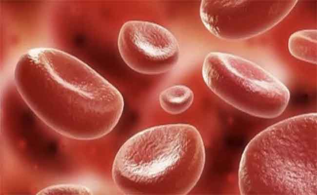 ما هي أهمية تحليل عدد الصفائح الدموية؟