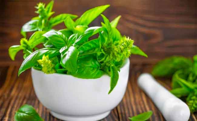 أي أعشاب يمكن أن تساعد على خفض ضغط الدمّ المرتفع؟