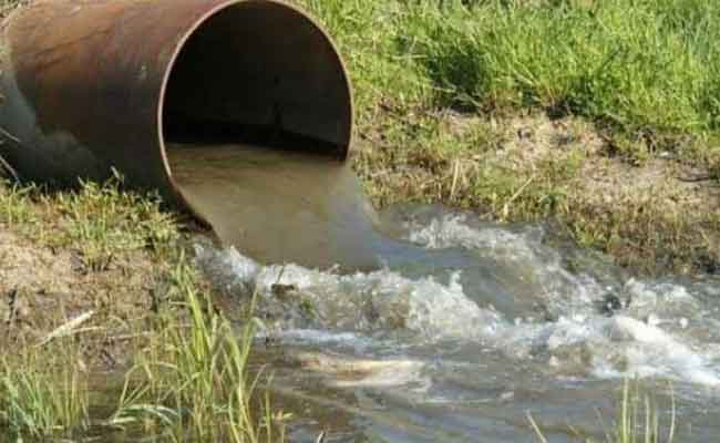 توقيف ثلاث فلاحين تورطوا في سقي محاصيل القمح بالمياه القذرة بالشلف