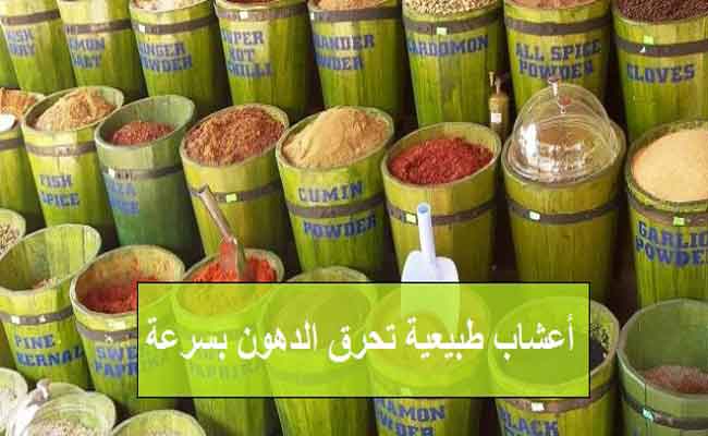 لحرق دهون البطن بسرعة…اليكم بعض الأعشاب الفعّالة!