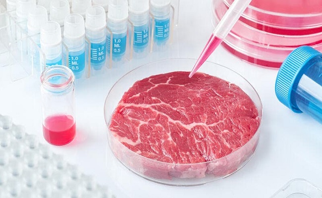 اللحوم المصنعة مخبرياً هل هي حلال؟