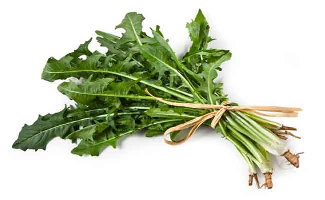 كيف تستفيدين من تناول الهندباء خلال الحمل؟