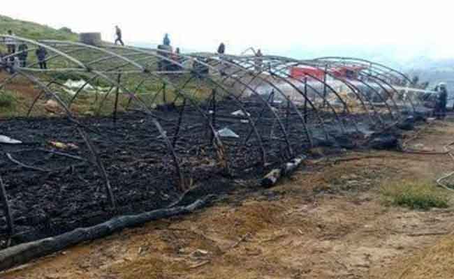 حريق يتسبب في نفوق حوالي 3000 كتكوت و خسائر مادية معتبرة بالأخضرية في البويرة