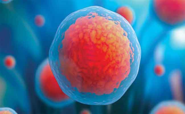 10 أطعمة تحد من رغبتنا بتناول السكريات…