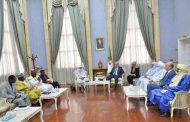 استقبال بوغالي لوفد برلماني من النيجر