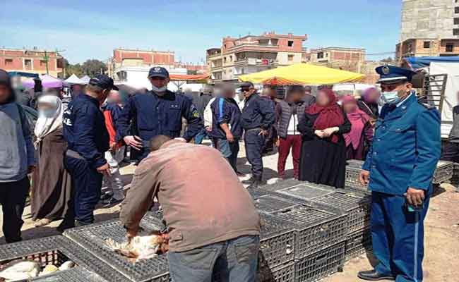 الإطاحة بشخصين يبيعان دجاجا غير صالح للإستهلاك بقسنطينة