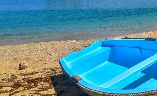 درك وهران يفكك ثلاث شبكات تحترف تنظيم رحلات الهجرة السرية