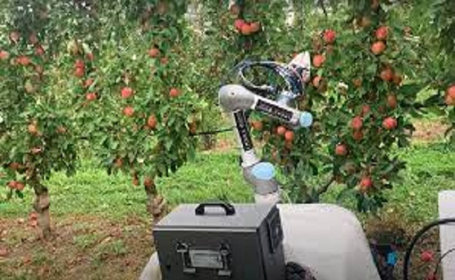 الروبوتات الزراعية قد تكون هي الحل...