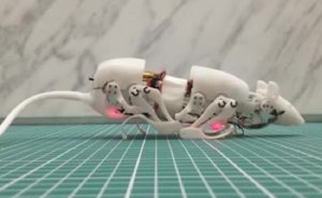 ابتكار صيني فار آلي للمساعدة في عمليات البحث والانقاذ…