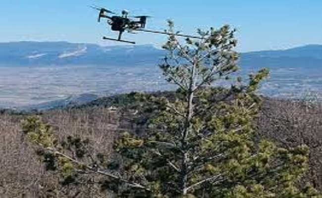طائرات الدرون تدخل في عملية تشجير الغابات....