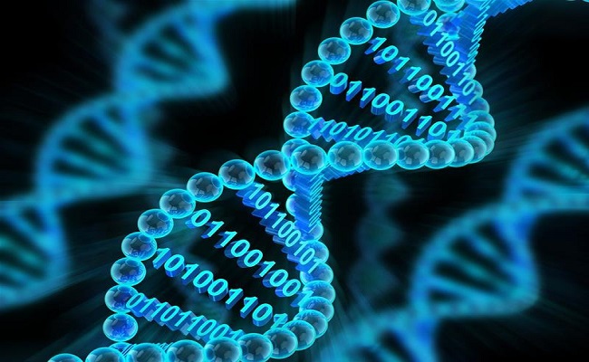 تخزين البيانات في الحمض النووي البشري...