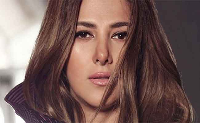 دنيا سميرغانم تختار”روحي أنا” للعودة الى الجمهور بعد عام من الحزن على فراق والديها…