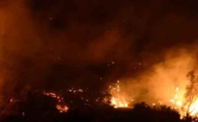 محاكمة فلاح أربعيني تورط في إضرام النار بحقله بجيجل