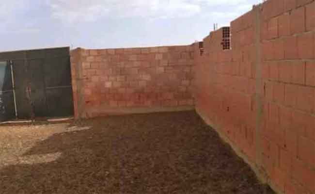 سرقة قطيع من الغنم على يد مجهولين بالشلف