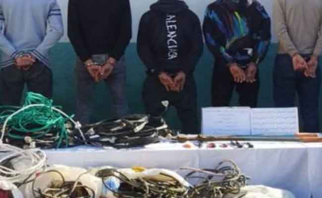 تفكيك شبكتين تحترفان سرقة سرقة الكوابل النحاسية بالشلف