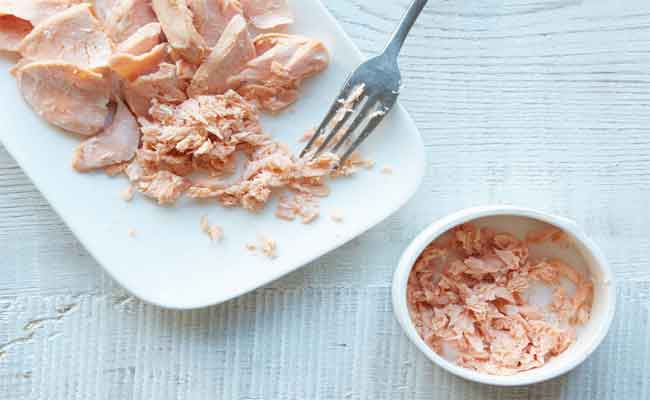 هل تناول التونا أثناء الحمل آمن؟