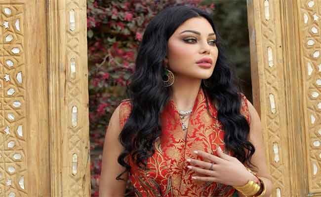 هيفاء وهبي تنافس ب”قاعدة بتفرج “في موسم الصيف…