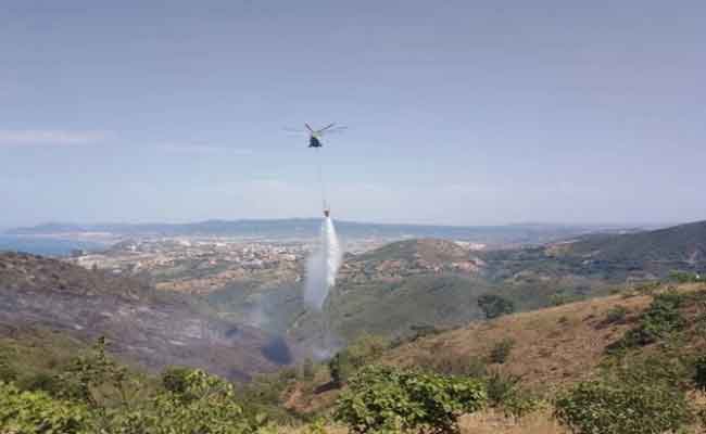 الحرائق تتسبب في مصرع شخصين بسكيكدة خلال الـ 24 ساعة الماضية